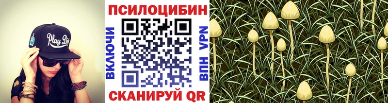 Галлюциногенные грибы прущие грибы  где можно купить   Теберда 